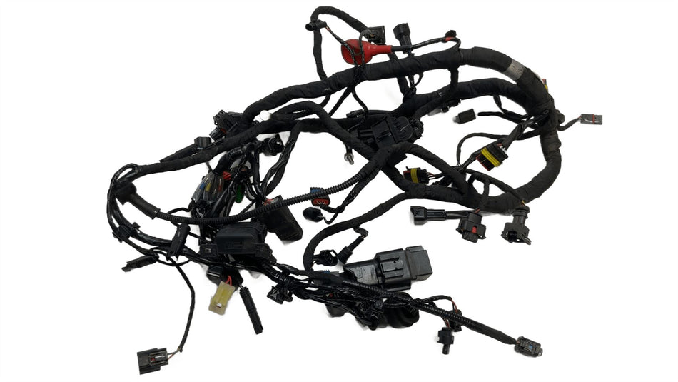 2019 BMW G310GS Wiring Harness Loom 8394112
