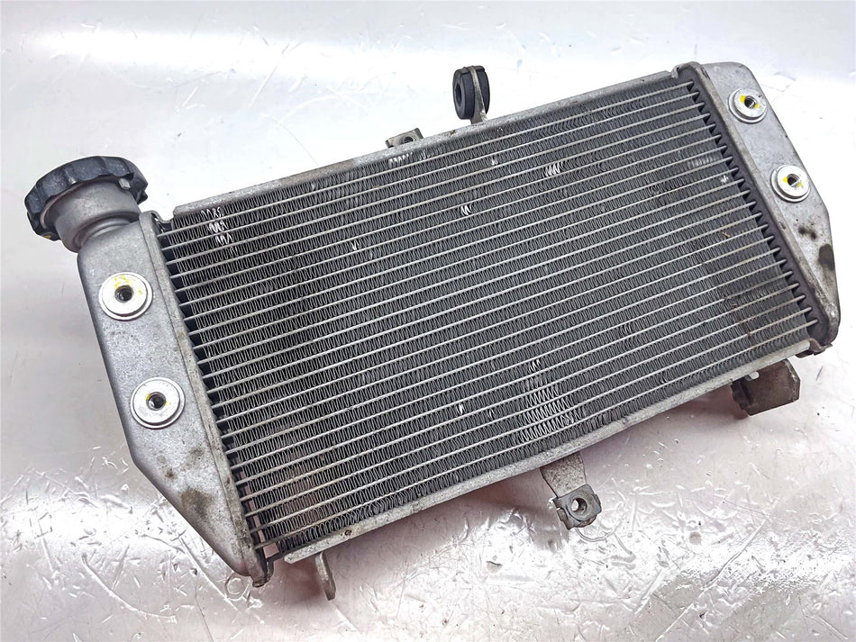 2019 Yamaha MT-03 Radiator - B04E246100