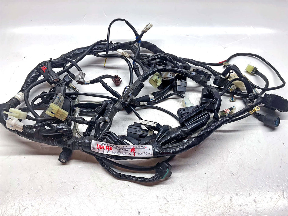 2019 Yamaha MT-03 Wiring Harness - B9AH259000