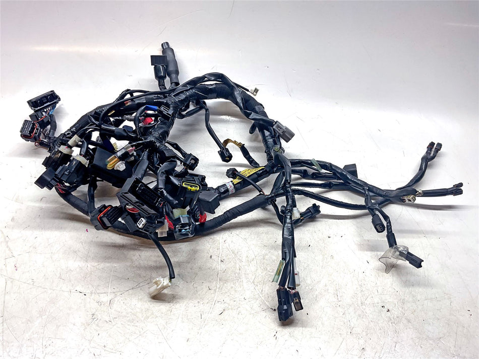 2025 Yamaha MT-07 Wiring Harness - BSH8259000