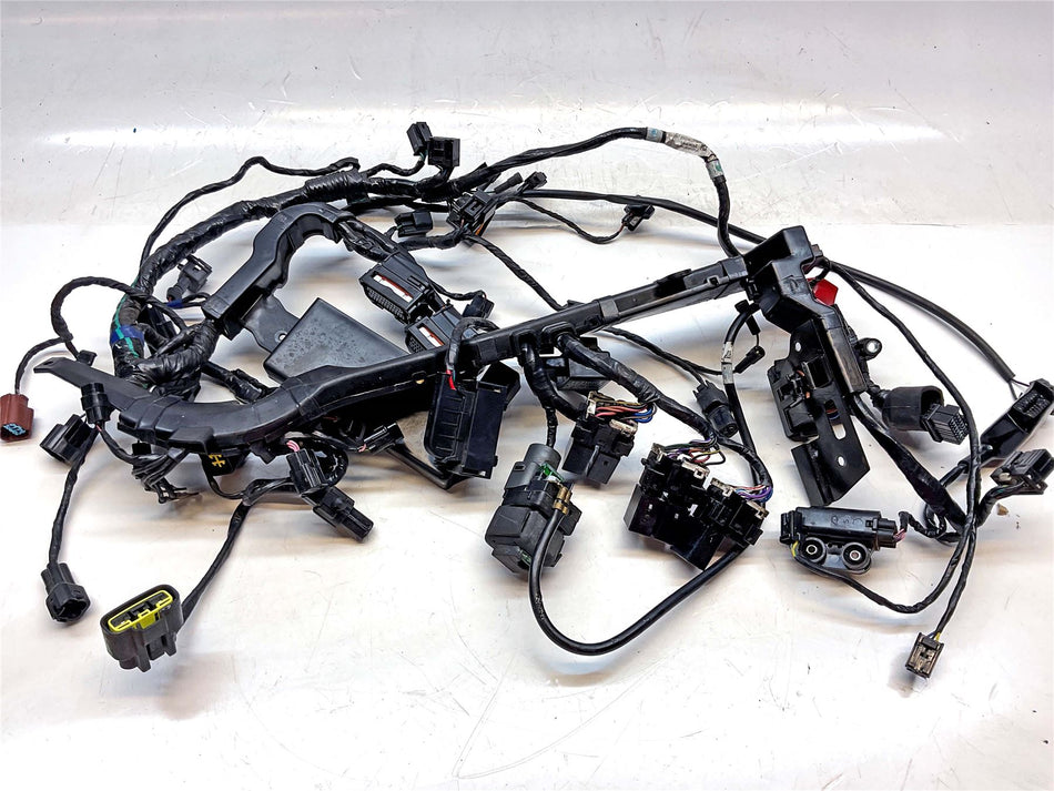 2014 Triumph Street Triple ABS Main Wiring Harness Loom - T2508082