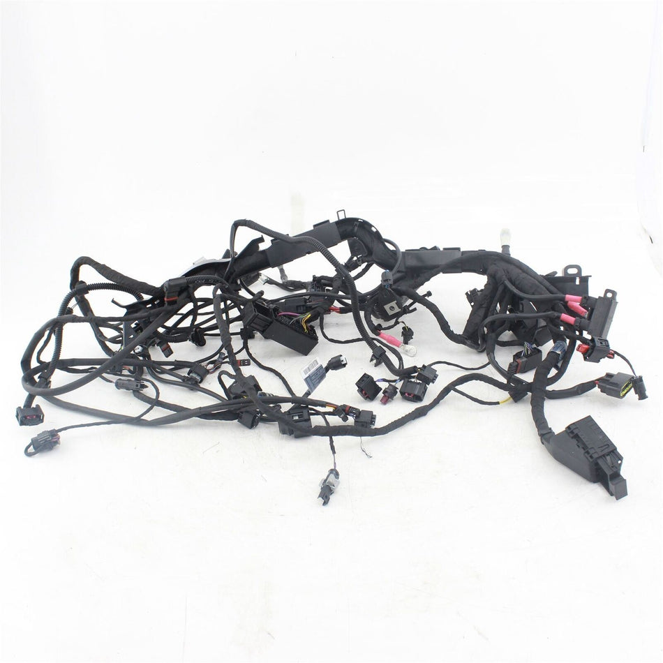 2019-ON BMW R1250 GS RALLYE TE Main Wiring Loom - 61119480784