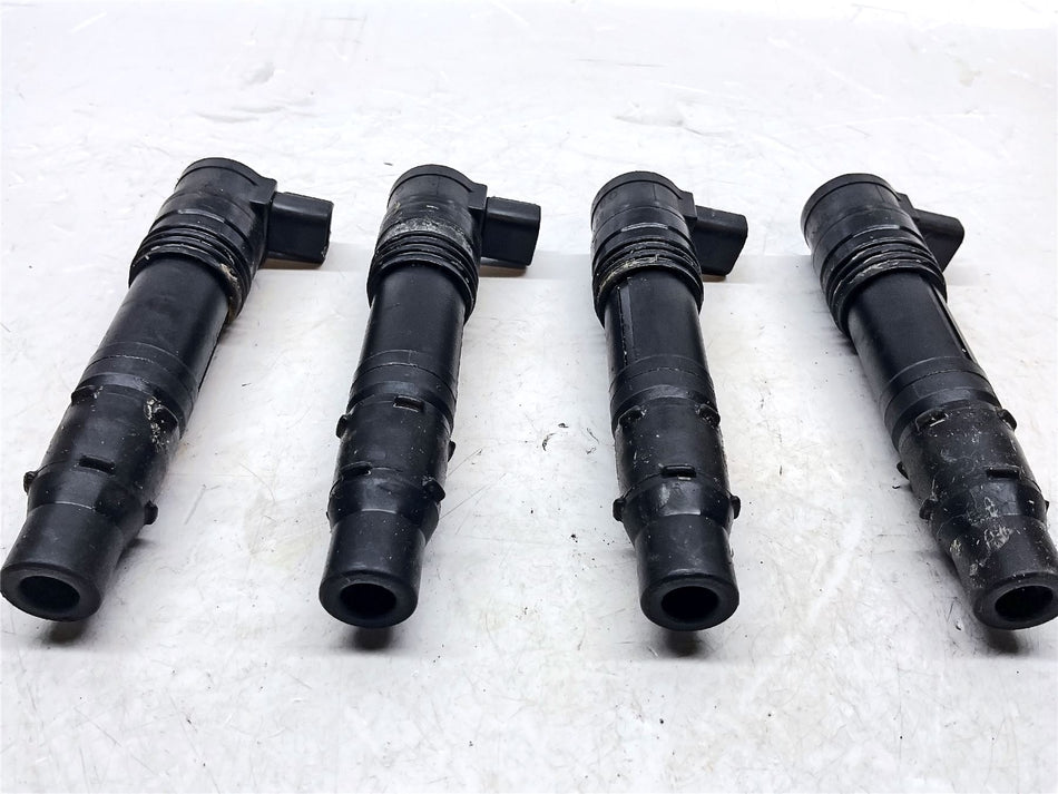 2017 Kawasaki ZZR1400 Ignition Coils