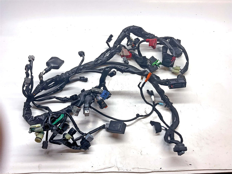 2023 Honda CMX500 REBEL Main Wiring Harness Loom - 32100MLHD00