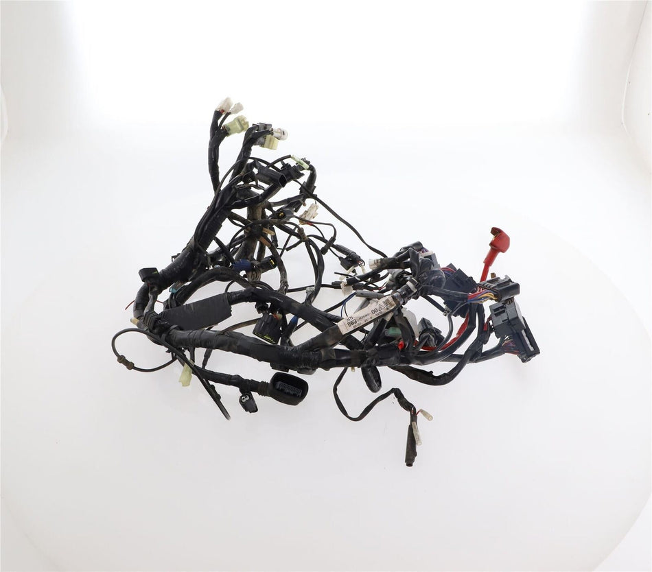 2019-ON YAMAHA TENERE 700 Wiring Harness - BEHH259001