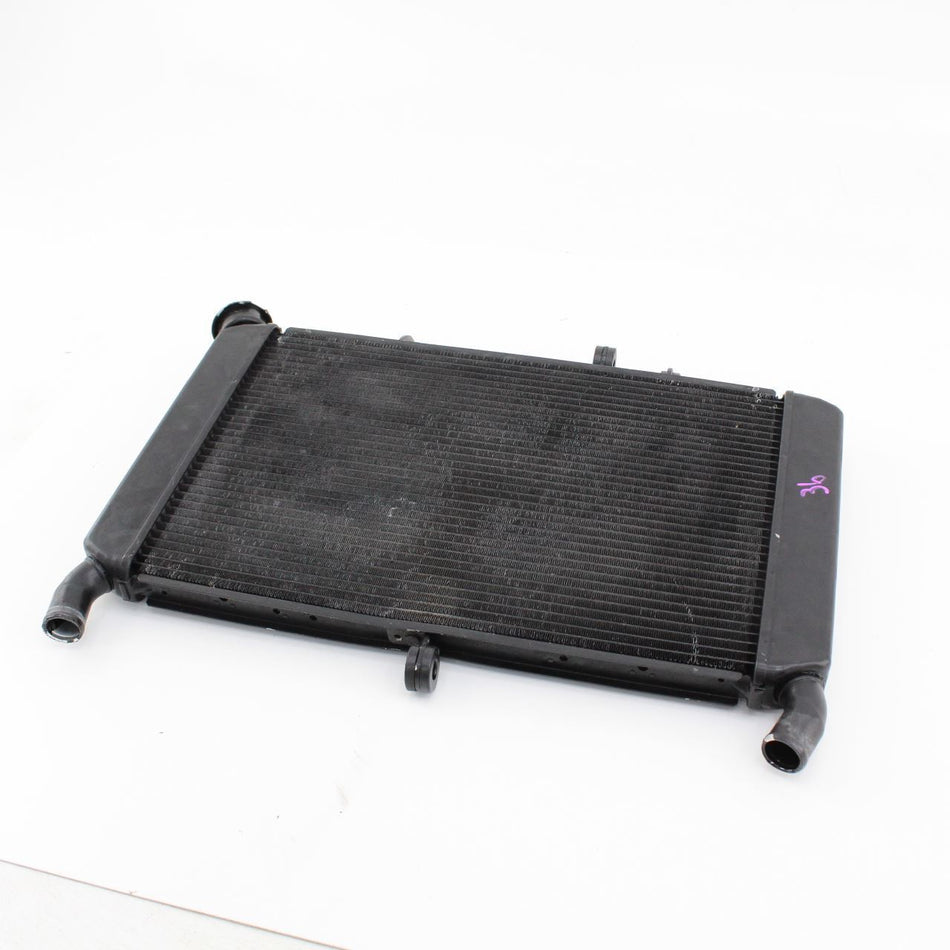 2013-2016 YAMAHA MT-09 ABS Radiator  - 1RC1246100