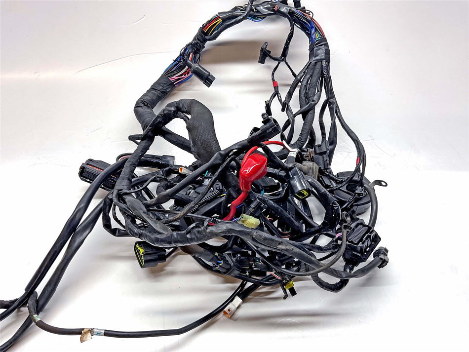 2019 Triumph Scrambler 1200 XC Wiring Harness Loom - T2502577