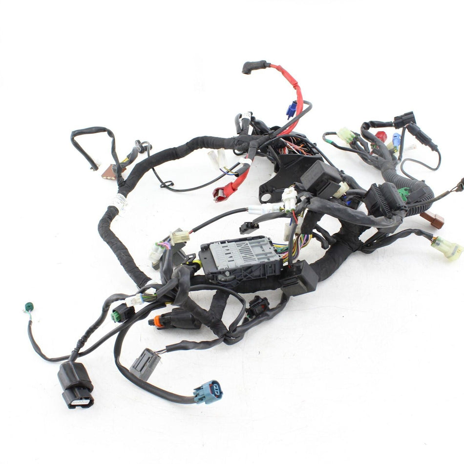 2018-ON HUSQVARNA SVARTPILEN 401 Wiring Loom - JU402273