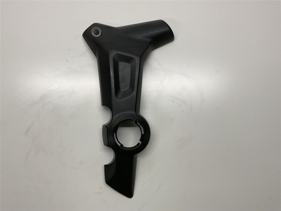 2022 TRIUMPH TRIDENT 660 Right Frame Cover - T2073062