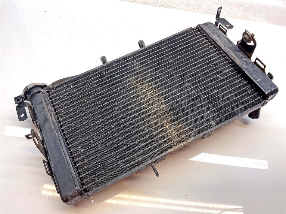 2015 Triumph Tiger 800 XRX Radiator - T2100775