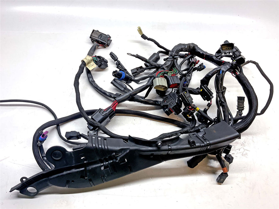 2021 Harley-Davidson Iron 1200 XL1200NS Main Wiring Harness Loom - 7412008