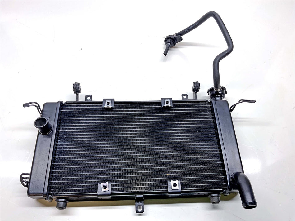2024 Benelli TRK 702 X Radiator - 279126600020