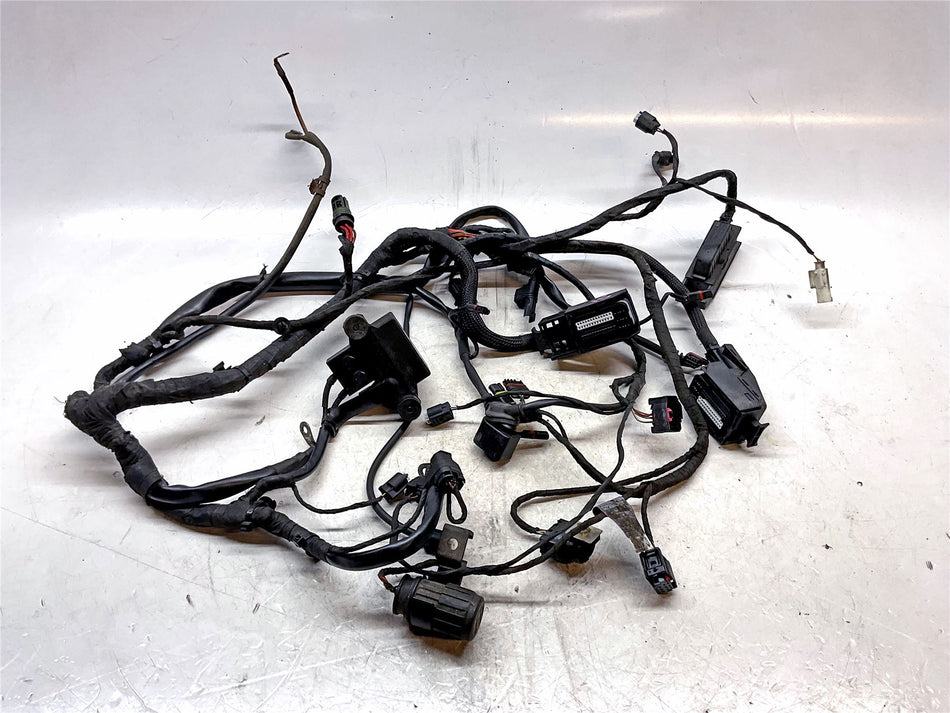 2009 BMW F800ST Wiring Loom - 12517705435