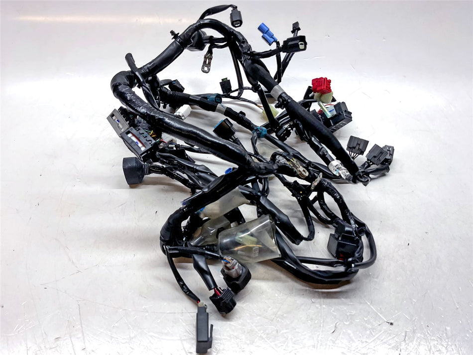 2023 Kawasaki Z650RS Main Wiring Harness - 260313881