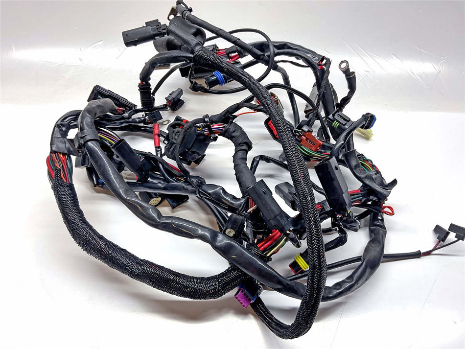 2017 Harley-Davidson Iron 883 XL883N Main Wiring Harness Loom