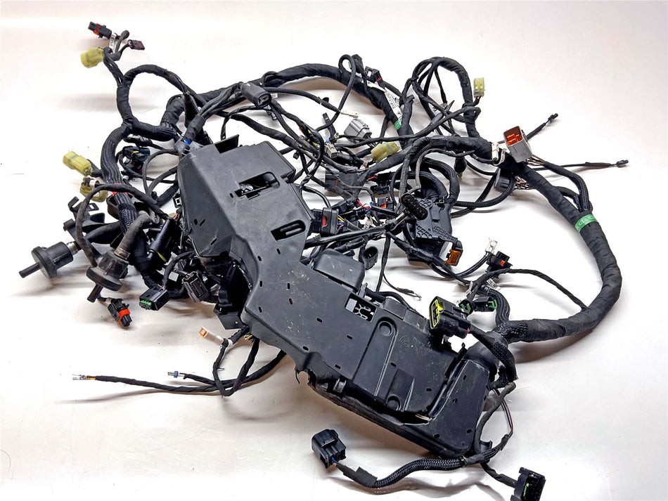 2023 Ducati Multistrada V4 Rally Main Wiring Harness - 5101I351C
