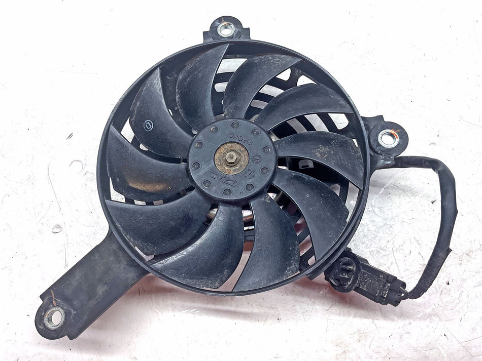 2019 Honda CRF1000L Africa Twin Adv  Right Fan - 19020MGSD31