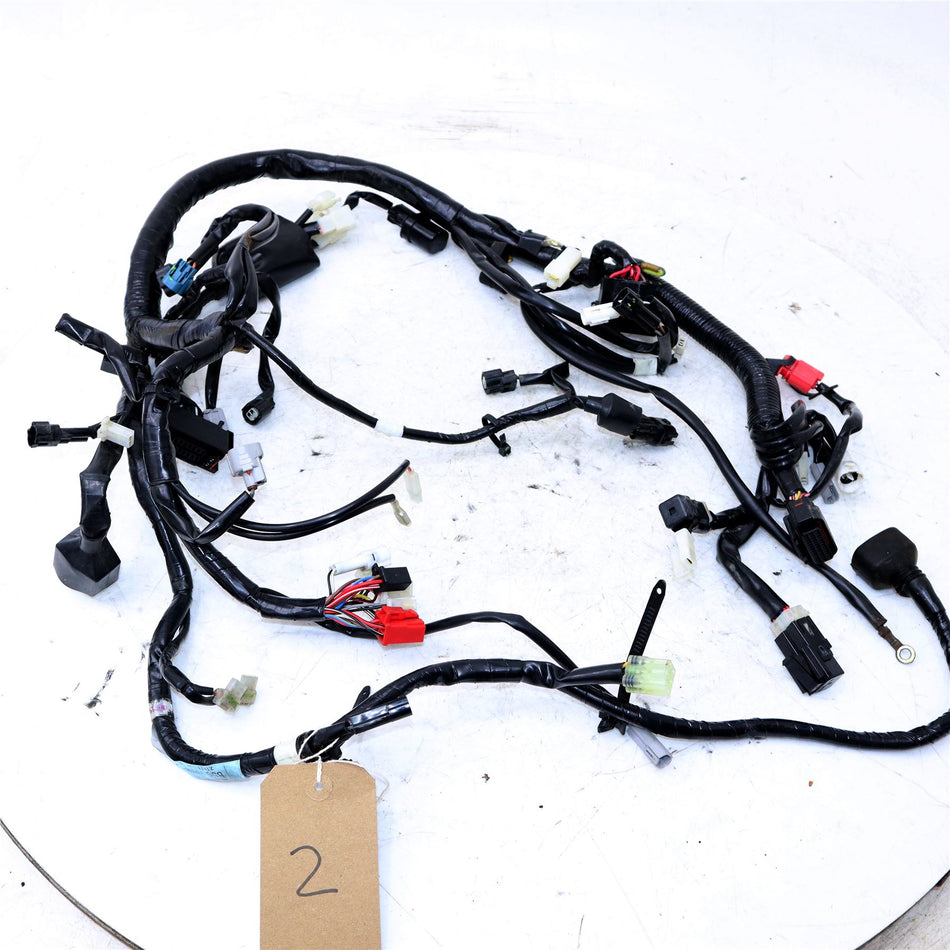 2022 YAMAHA YZF-R 125 Wiring Loom - B5GH259011