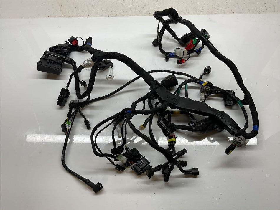 2023 Royal Enfield Super Meteor 650 Wiring Harness Loom