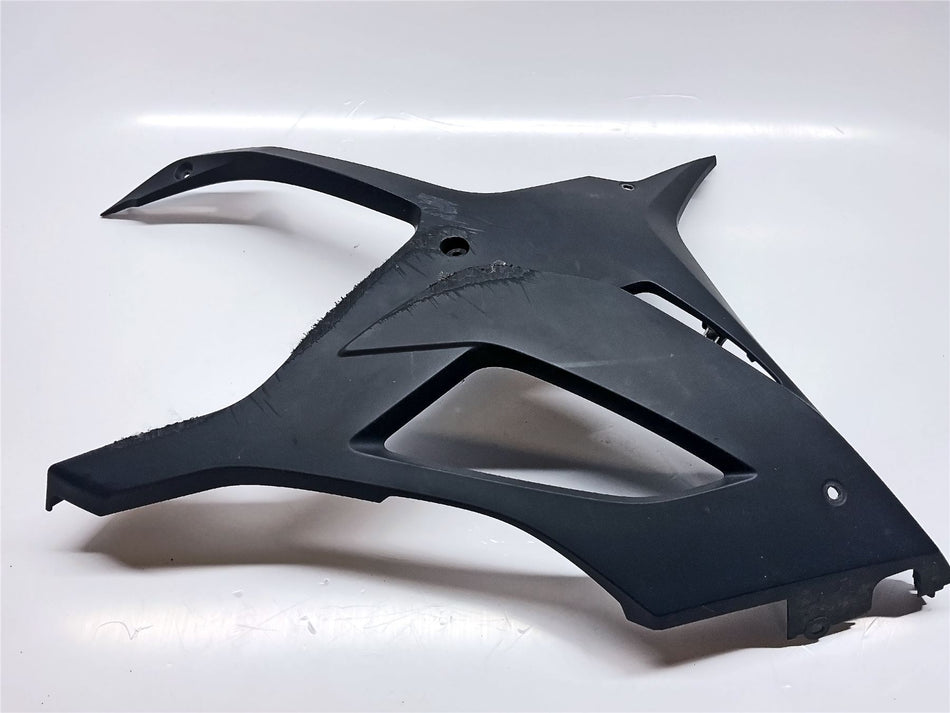 2023 BMW S1000RR Left Engine Spoiler Bellypan - 46639467725