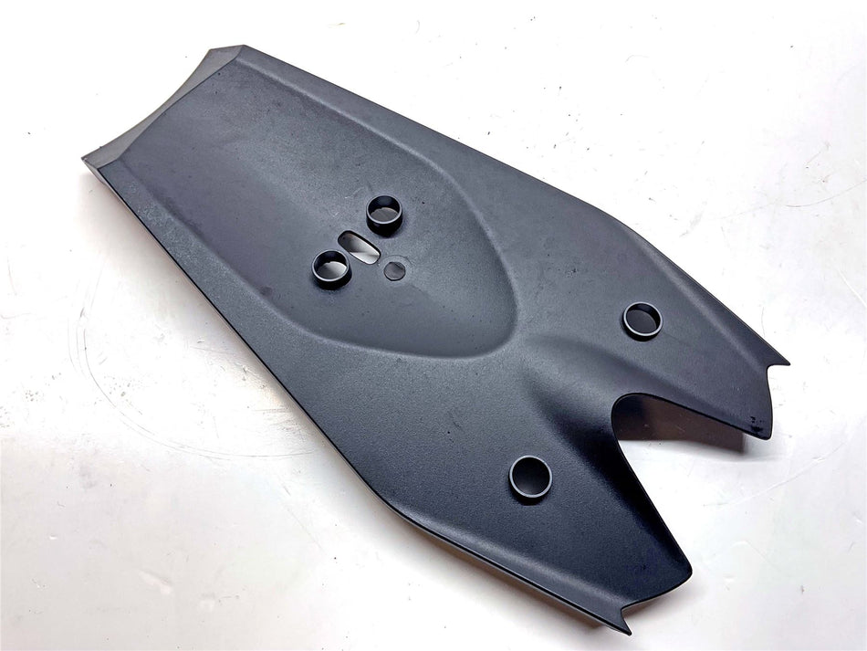 2025 Triumph Speed Triple 1200 Under Panel Moulding - T2311984