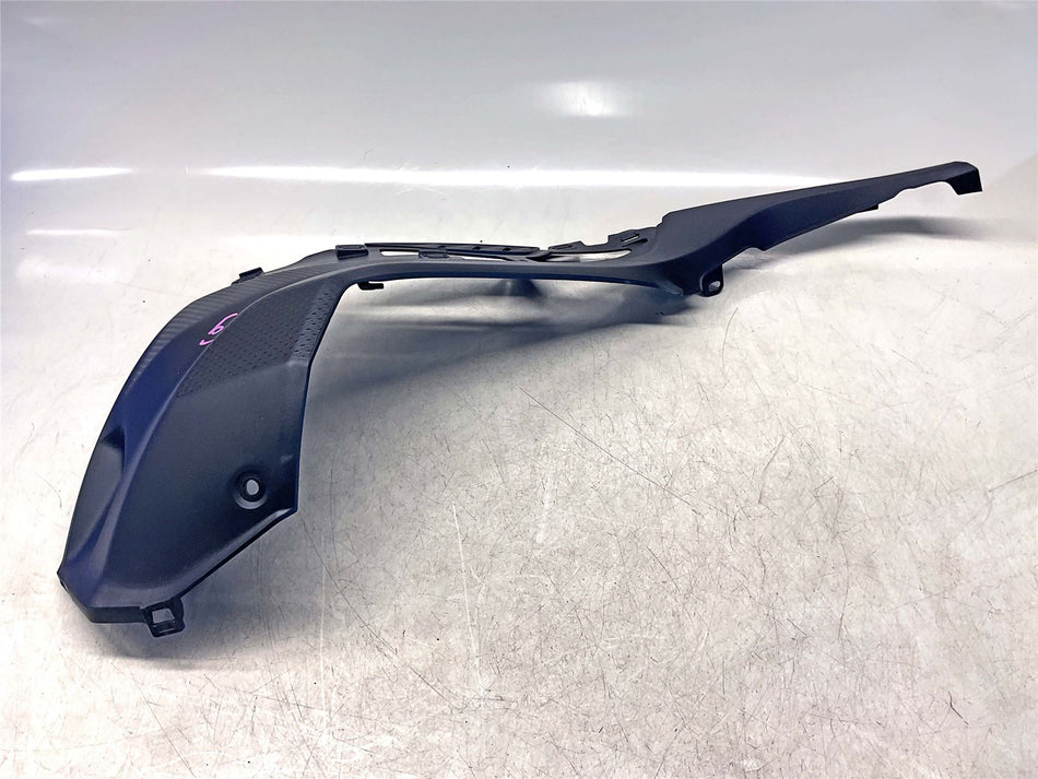 2023 BMW S1000R Sport Right Tank Trim - 46638569772
