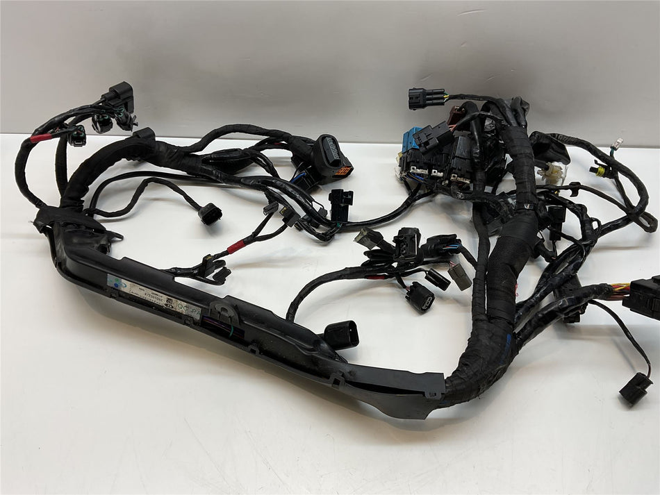 2019 Triumph Street Twin Wiring Harness Loom - T2501952