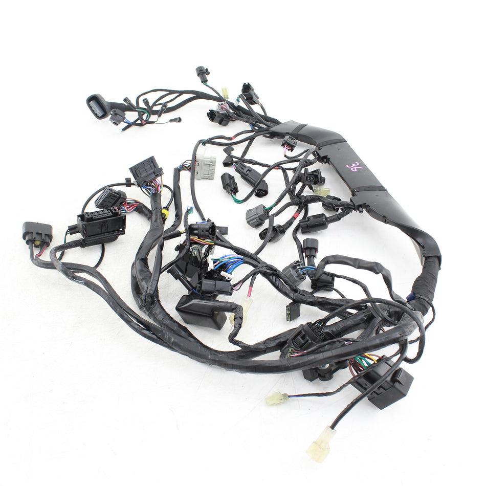 2021 ON TRIUMPH SPEED TWIN 1200 Wiring Harness - T2502474
