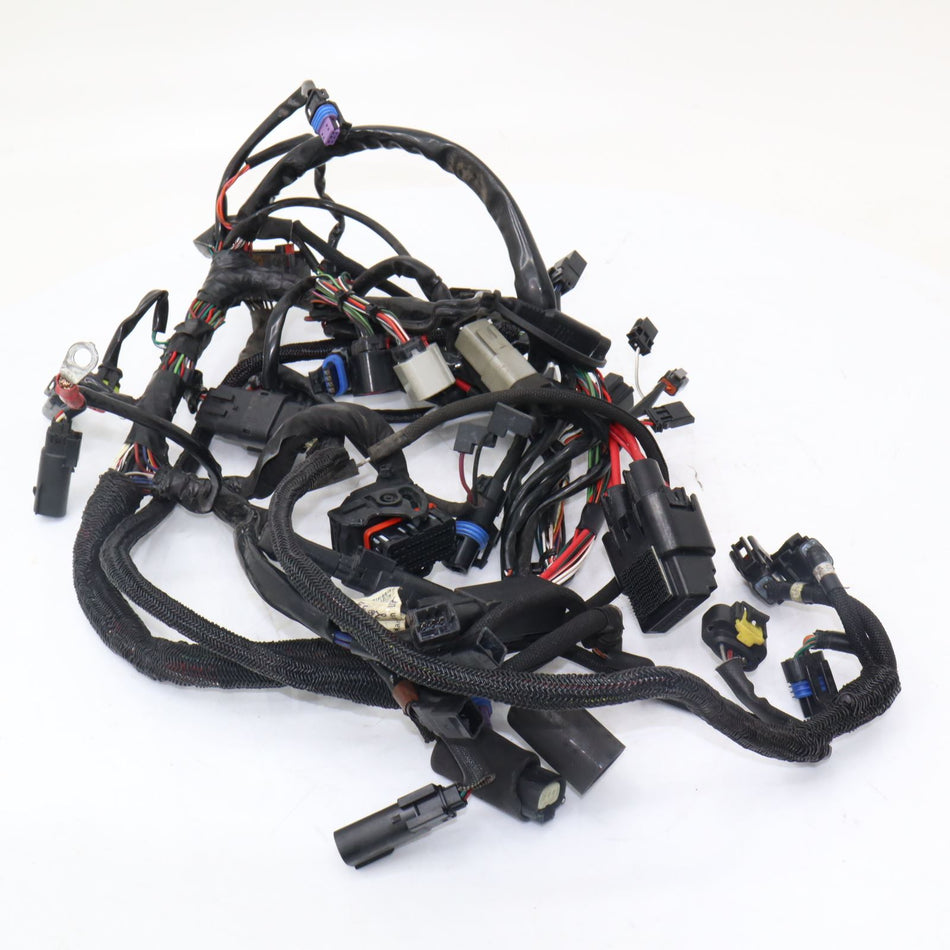 2009-2020 HARLEY DAVIDSON SPORTSTER XL 883 Wiring Harness - 692000738