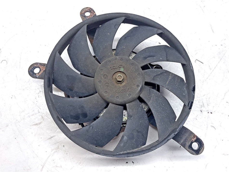 2014 Triumph Tiger 800 ABS Fan - T2100309
