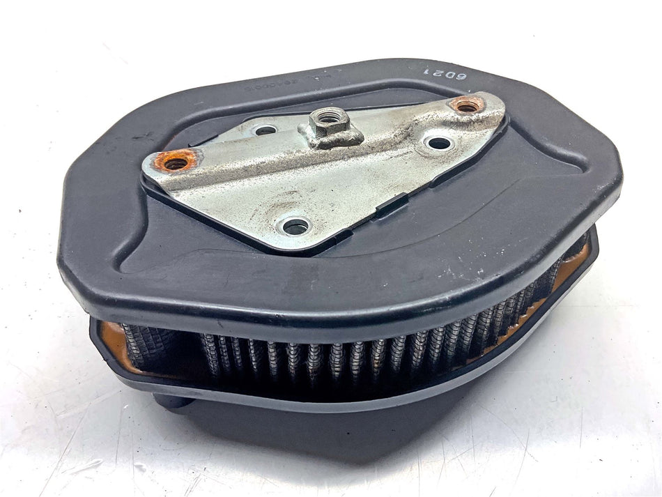 2017 Harley-Davidson Sportster 1200 Anniversary Air Filter - 29400015