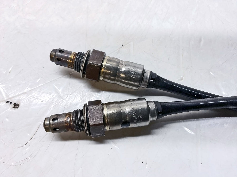 2025 Triumph Tiger 900 Rally Pro Oxygen Sensor - T2204263