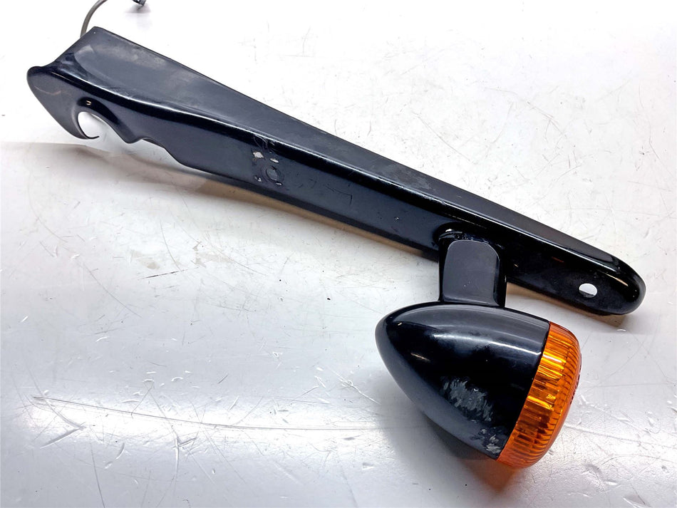 2021 Harley-Davidson Iron 1200 XL1200NS Rear Left Indicator - 67800214