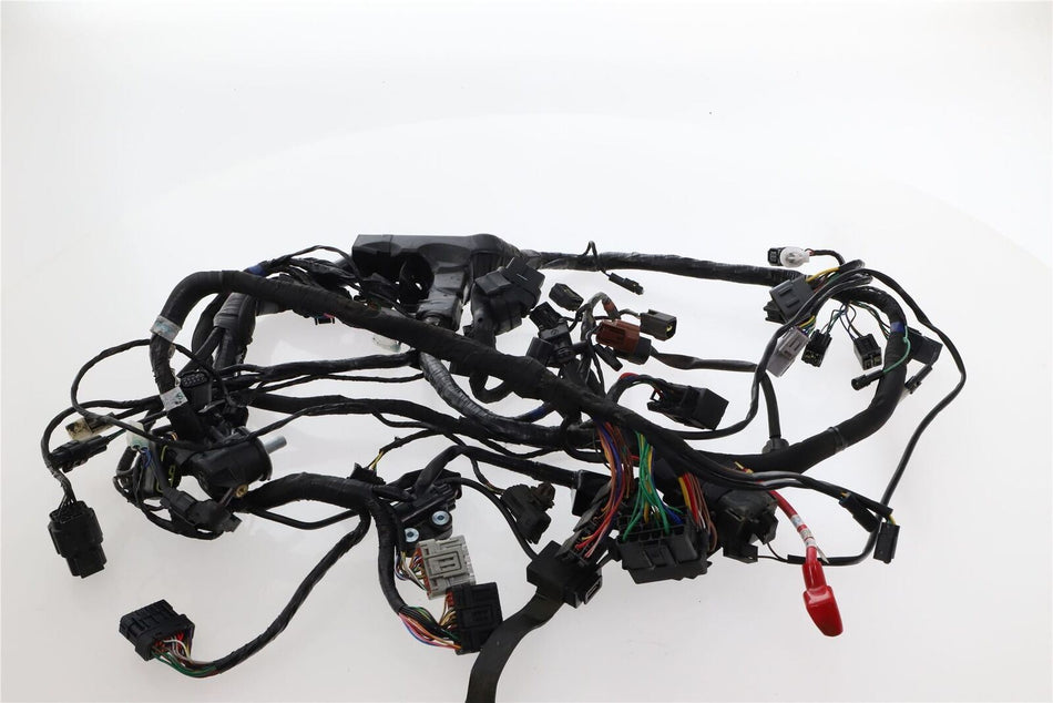 2022-ON TRIUMPH TIGER 660 SPORT Main Electrical Harness - T2506126