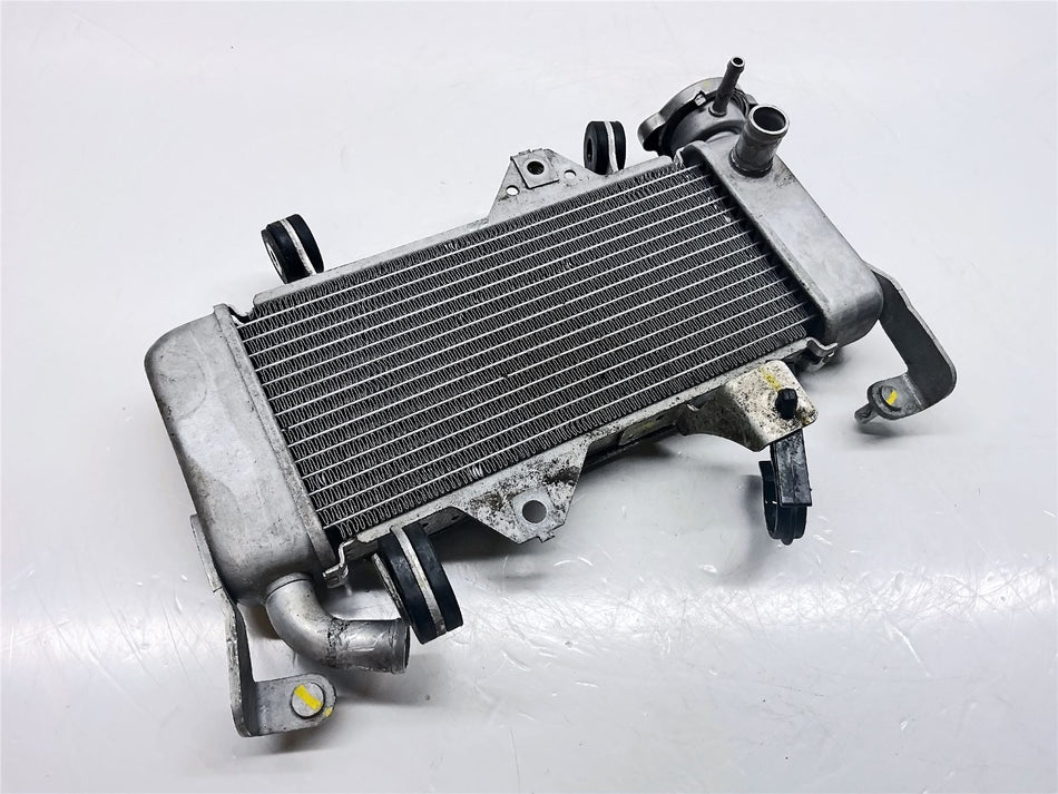 2024 Yamaha YZF-R 125 Radiator - 5D7E24611000