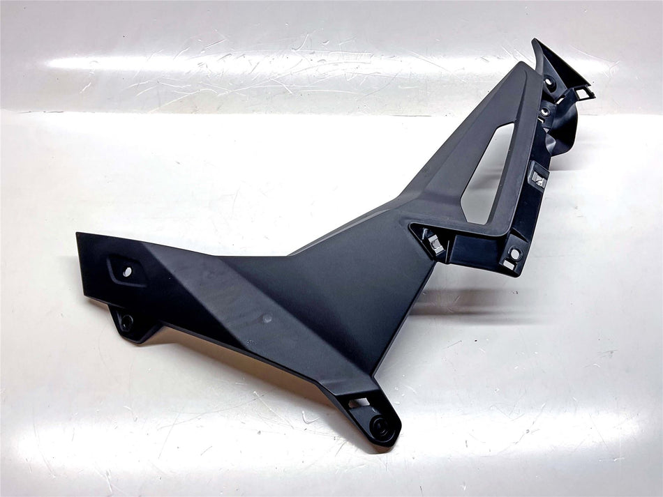 2025 BMW M1000R Left Grill Cover - 46638393625