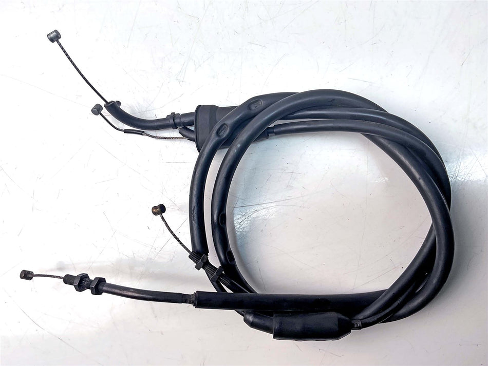 2008 Triumph Tiger 1050 Throttle Cable - T2040480
