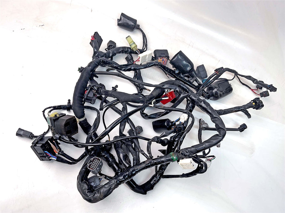 2015 Kawasaki Versys 650 Wiring Harness Loom - 260311890