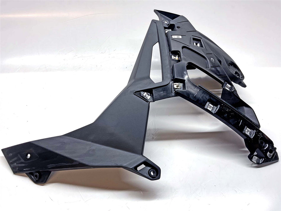 2025 BMW S1000R Sport Left Infill Panel - 46638393623