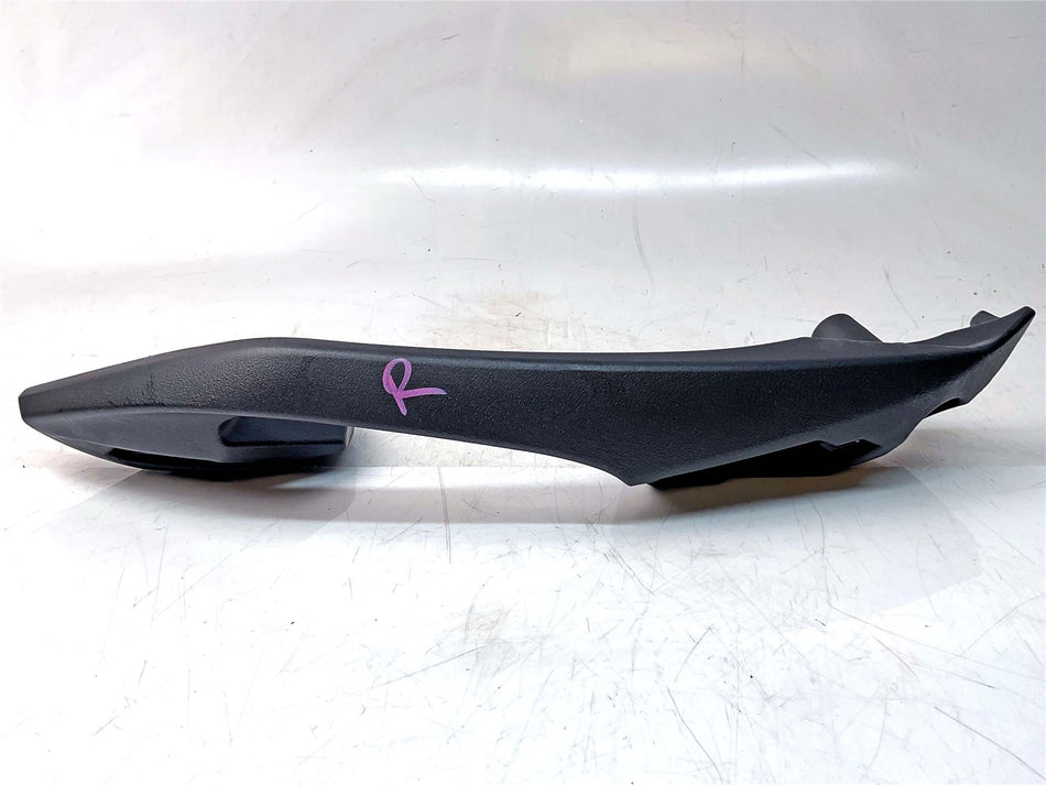 2025 Kawasaki Ninja ZX11 Right Pillion Grab Handle / Rail - 350631359