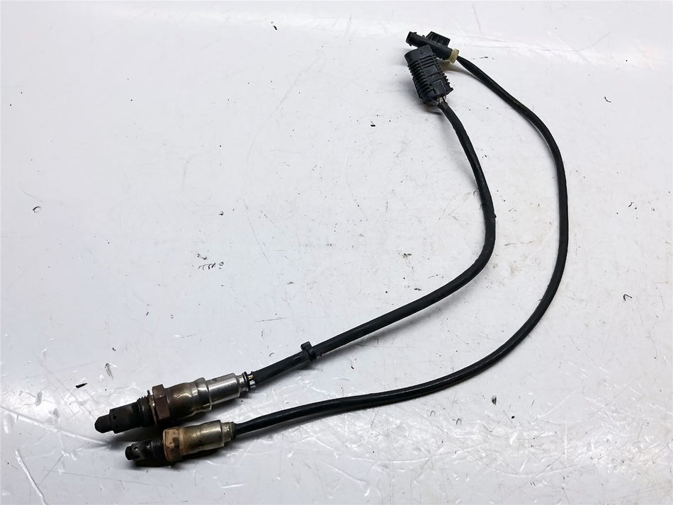 2024 BMW F900GS Oxygen Sensors - 11788405117