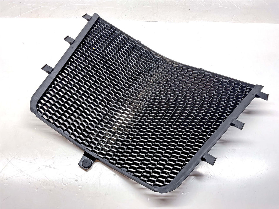 2025 BMW M1000R Radiator Guard - 46639480405