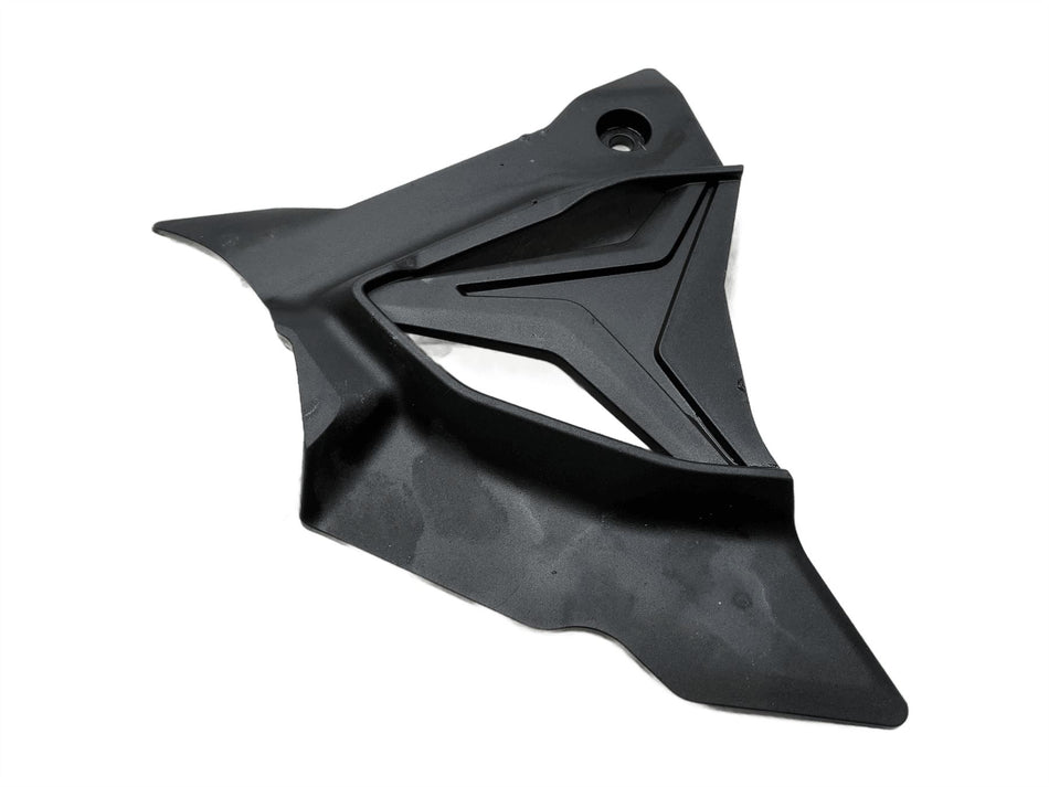 2025 BMW S1000RR Sport Sprocket Cover 8394320