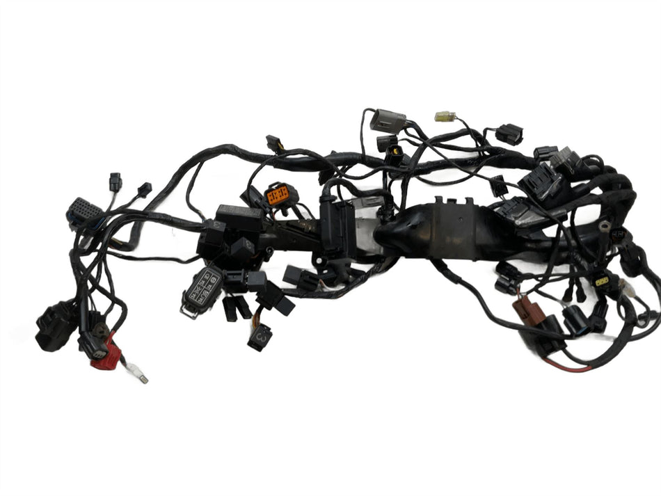 2024 Triumph Street Triple 765 Wiring Harness Loom T2502660