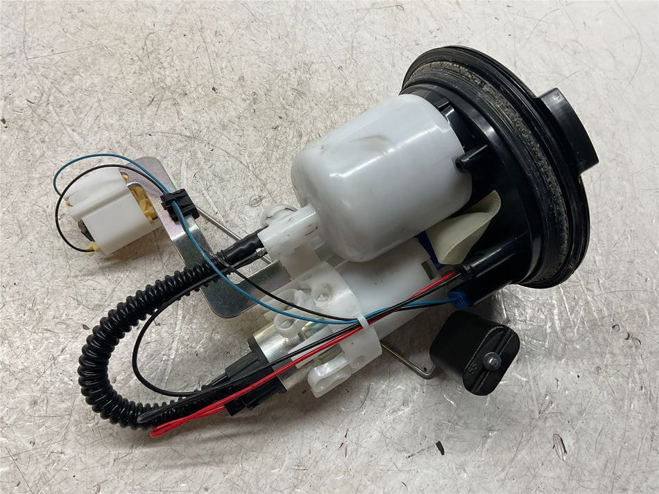 2023 BMW M1000R Fuel-Pump Unit With Level Sensor - 16148414945