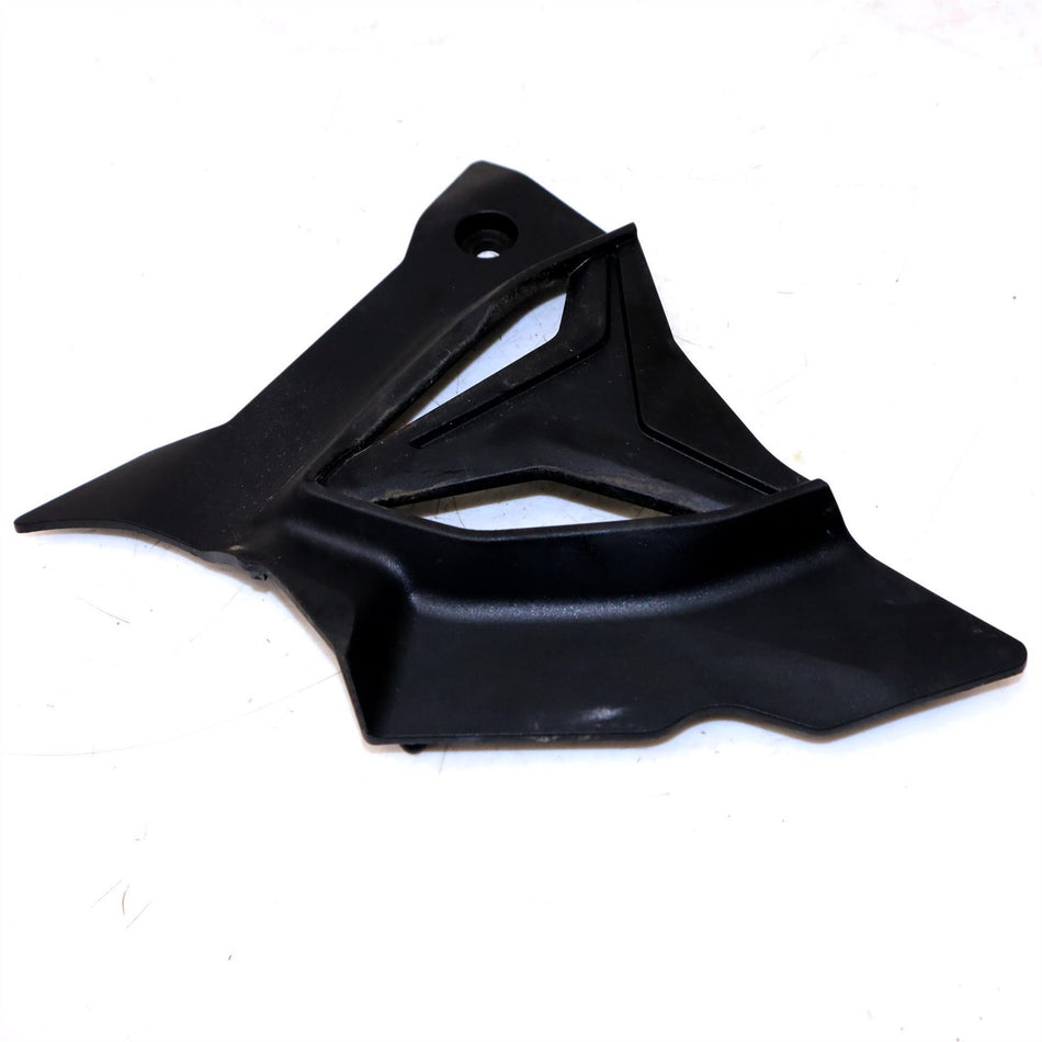 2020 BMW S1000RR Front Sprocket Cover - 33818394320