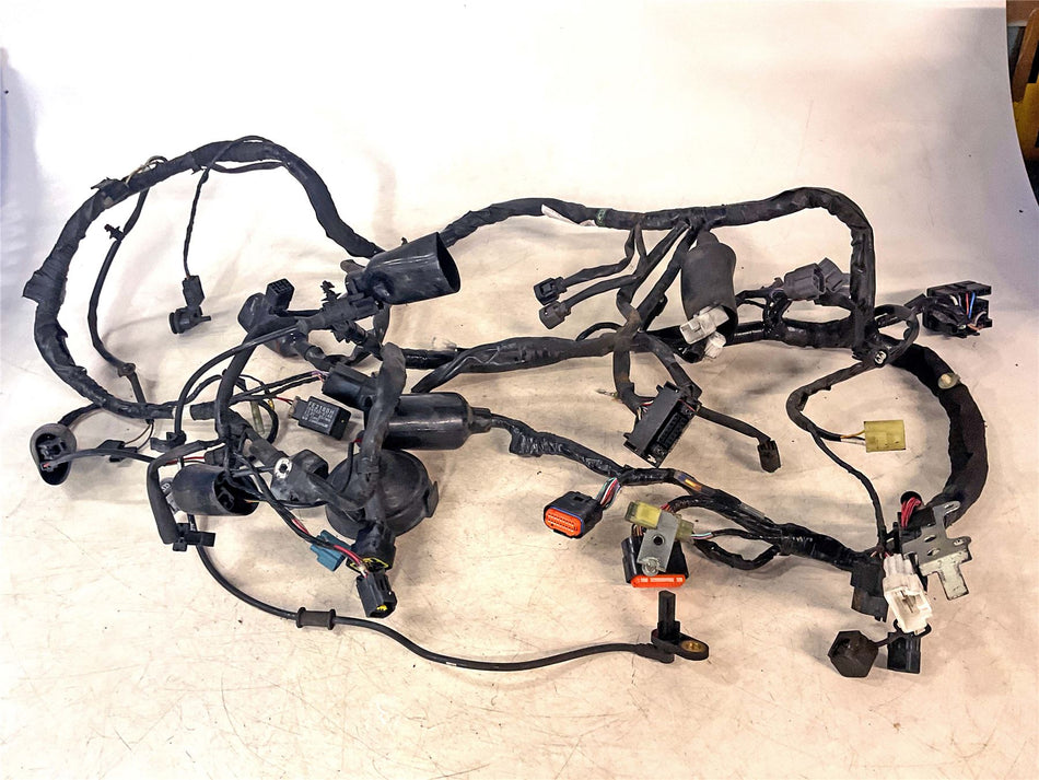 2016 Kawasaki Versys 650 Wiring Harness Loom