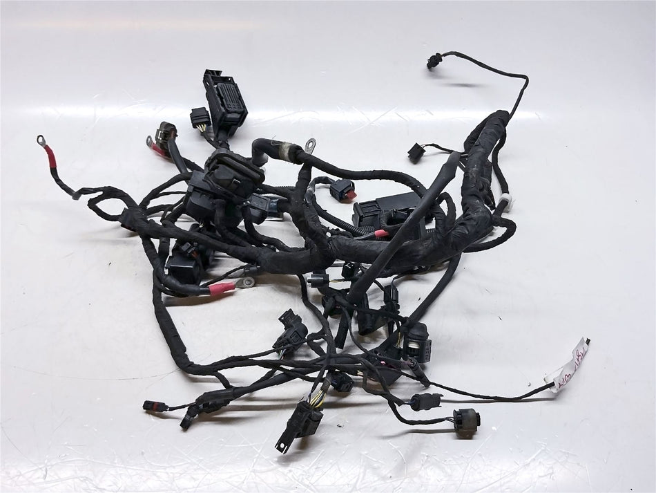 2019 BMW R1250R Engine Wiring Harness - 12519480230