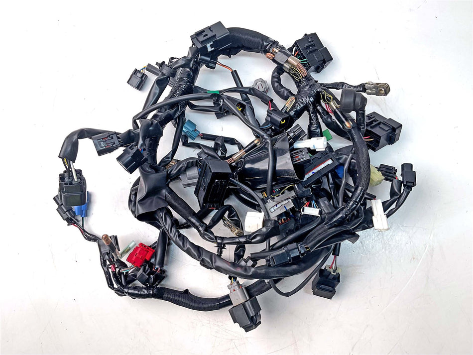 2024 Kawasaki Z500 Main Wiring Harness Loom - 260314317