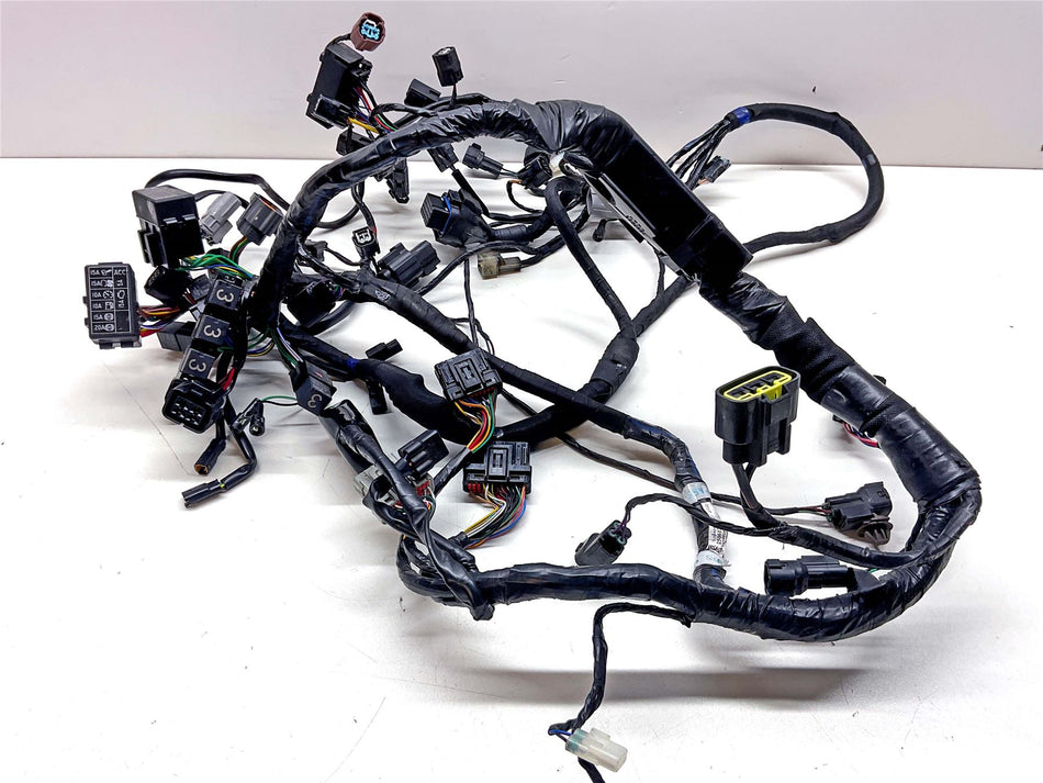 2023 Triumph Tiger 660 Sport Wiring Harness Loom - T2506126